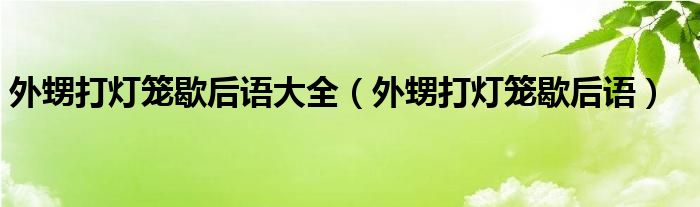 外甥打灯笼歇后语大全（外甥打灯笼歇后语）