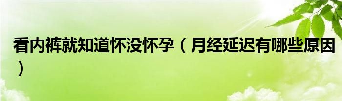 看内裤就知道怀没怀孕（月经延迟有哪些原因）