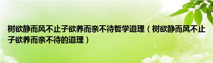 树欲静而风不止子欲养而亲不待哲学道理（树欲静而风不止子欲养而亲不待的道理）