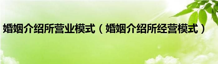 婚姻介绍所营业模式（婚姻介绍所经营模式）