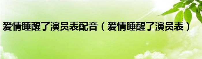 爱情睡醒了演员表配音（爱情睡醒了演员表）