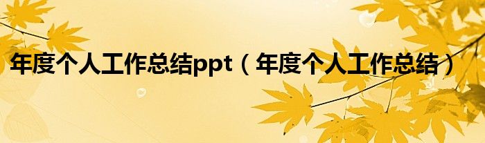 年度个人工作总结ppt（年度个人工作总结）