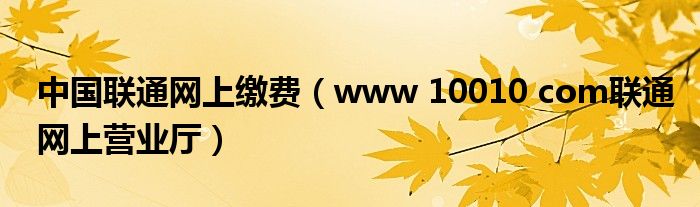 中国联通网上缴费（www 10010 com联通网上营业厅）