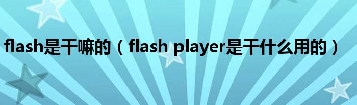 flash是干嘛的（flash player是干什么用的）