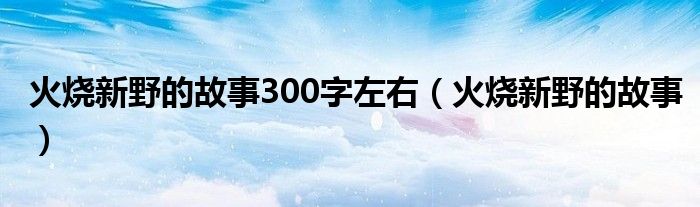 火烧新野的故事300字左右（火烧新野的故事）