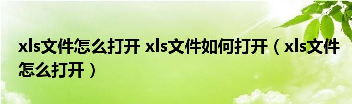 xls文件怎么打开 xls文件如何打开（xls文件怎么打开）