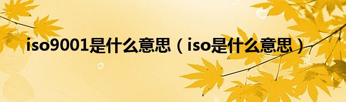 iso9001是什么意思（iso是什么意思）