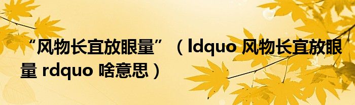 “风物长宜放眼量”（ldquo 风物长宜放眼量 rdquo 啥意思）