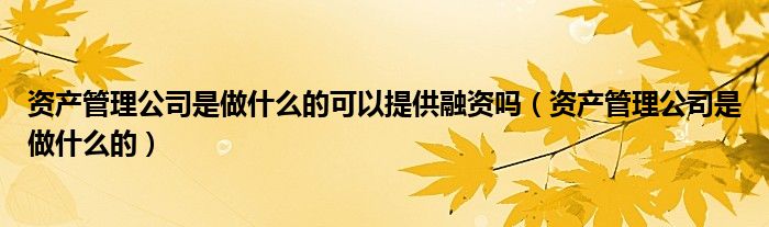 资产管理公司是做什么的可以提供融资吗（资产管理公司是做什么的）