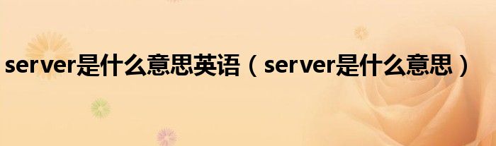 server是什么意思英语（server是什么意思）