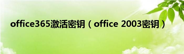 office365激活密钥（office 2003密钥）