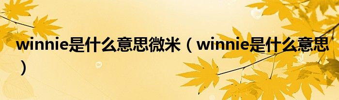 winnie是什么意思微米（winnie是什么意思）