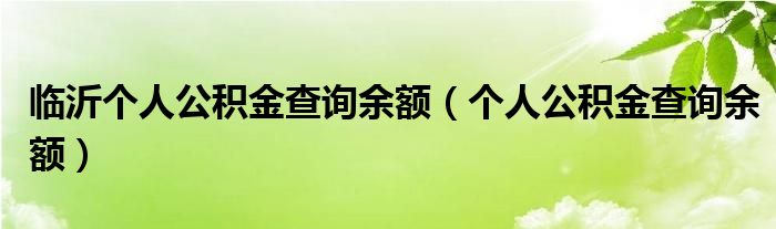 临沂个人公积金查询余额（个人公积金查询余额）