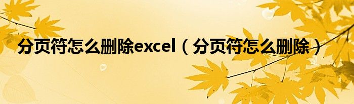 分页符怎么删除excel（分页符怎么删除）