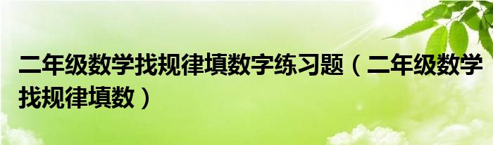 二年级数学找规律填数字练习题（二年级数学找规律填数）