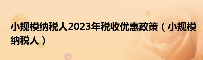 小规模纳税人2023年税收优惠政策（小规模纳税人）