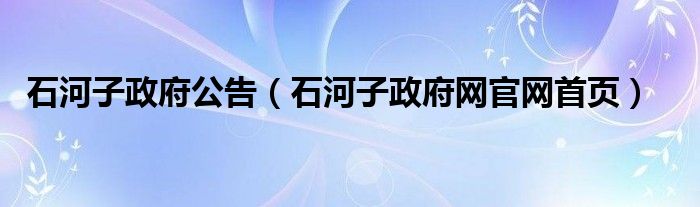 石河子政府公告（石河子政府网官网首页）