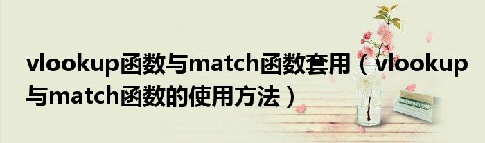 vlookup函数与match函数套用（vlookup与match函数的使用方法）