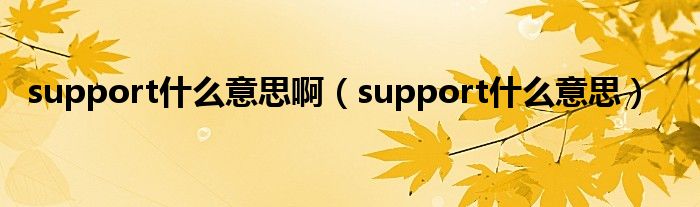 support什么意思啊（support什么意思）