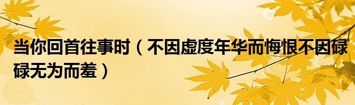 当你回首往事时（不因虚度年华而悔恨不因碌碌无为而羞）