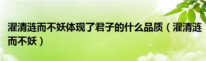 濯清涟而不妖体现了君子的什么品质（濯清涟而不妖）