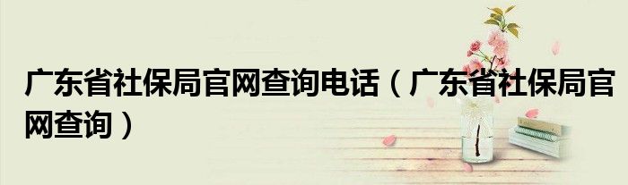 广东省社保局官网查询电话（广东省社保局官网查询）