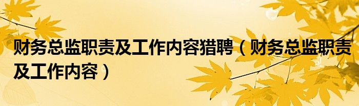 财务总监职责及工作内容猎聘（财务总监职责及工作内容）