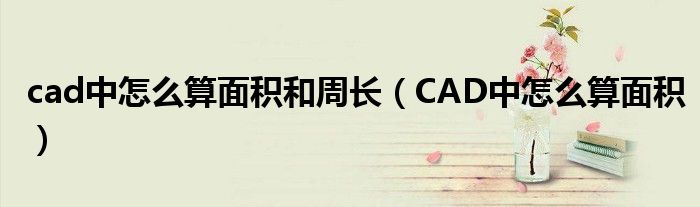 cad中怎么算面积和周长（CAD中怎么算面积）