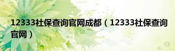 12333社保查询官网成都（12333社保查询官网）