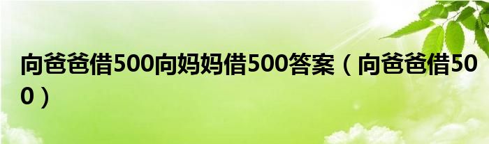 向爸爸借500向妈妈借500答案（向爸爸借500）