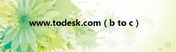 www.todesk.com（b to c）