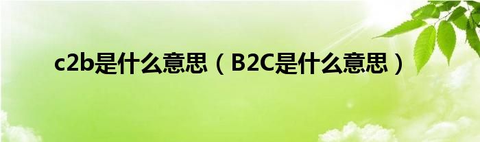 c2b是什么意思（B2C是什么意思）