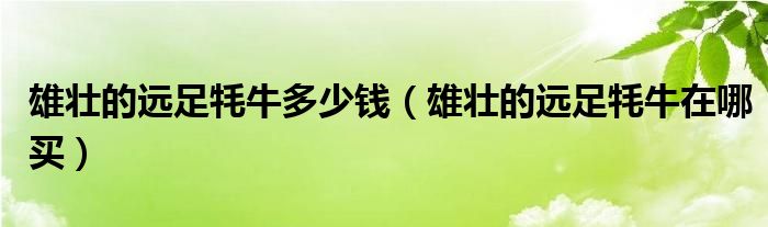 雄壮的远足牦牛多少钱（雄壮的远足牦牛在哪买）