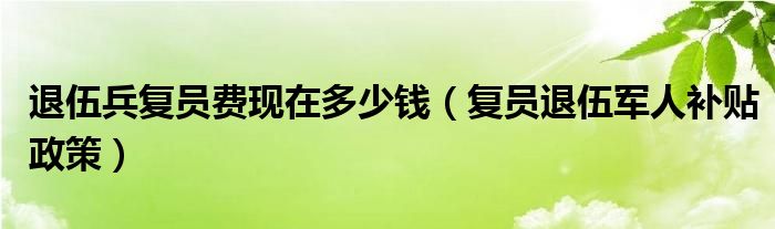 退伍兵复员费现在多少钱（复员退伍军人补贴政策）