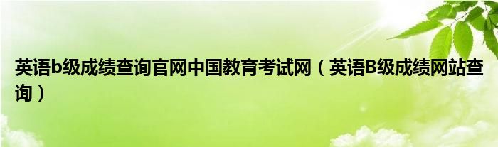 英语b级成绩查询官网中国教育考试网（英语B级成绩网站查询）