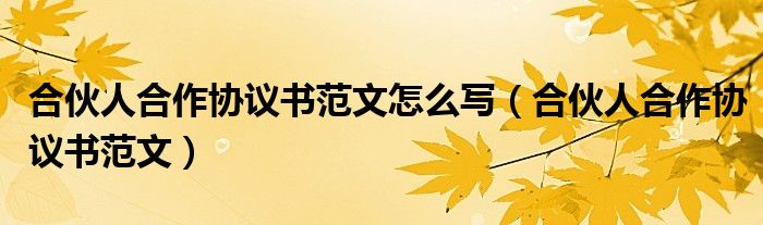 合伙人合作协议书范文怎么写（合伙人合作协议书范文）