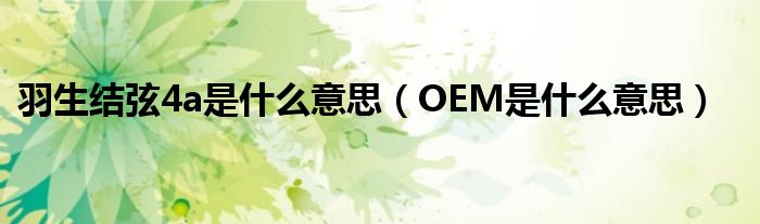 羽生结弦4a是什么意思（OEM是什么意思）