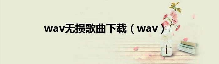 wav无损歌曲下载（wav）