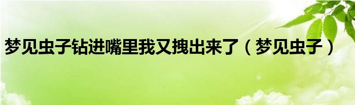 梦见虫子钻进嘴里我又拽出来了（梦见虫子）