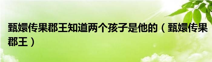 甄嬛传果郡王知道两个孩子是他的（甄嬛传果郡王）