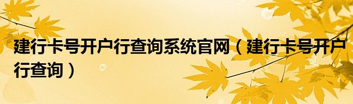 建行卡号开户行查询系统官网（建行卡号开户行查询）