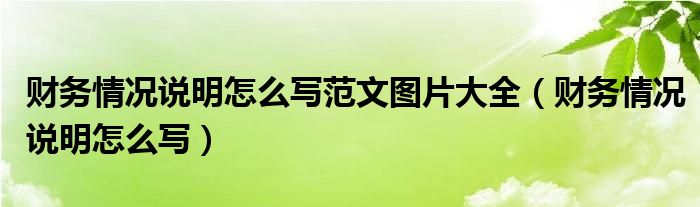 财务情况说明怎么写范文图片大全（财务情况说明怎么写）