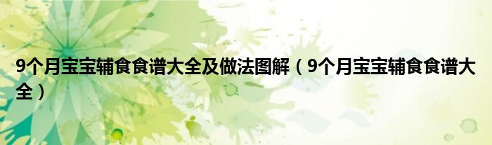 9个月宝宝辅食食谱大全及做法图解（9个月宝宝辅食食谱大全）