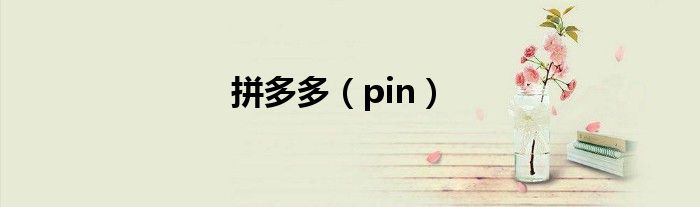 拼多多（pin）