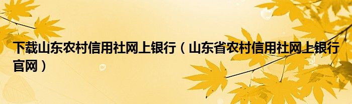 下载山东农村信用社网上银行（山东省农村信用社网上银行官网）