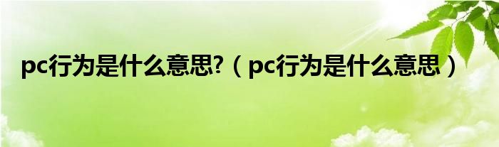 pc行为是什么意思?（pc行为是什么意思）