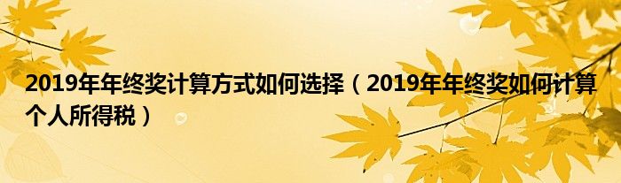 2019年年终奖计算方式如何选择（2019年年终奖如何计算个人所得税）