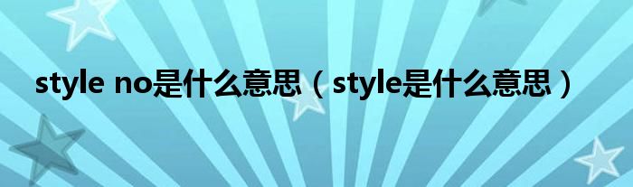 style no是什么意思（style是什么意思）