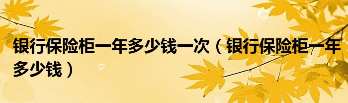 银行保险柜一年多少钱一次（银行保险柜一年多少钱）