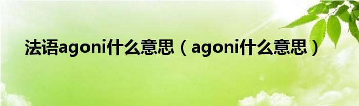 法语agoni什么意思（agoni什么意思）